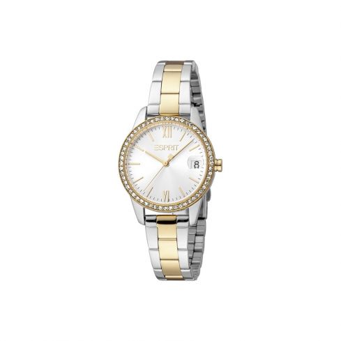 ESPRIT Watch Metal Band ES1L315M0105